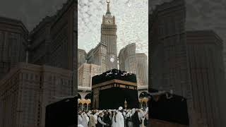 وعسى ان تكرهو شياً وهو خير لكم #قران_كريم