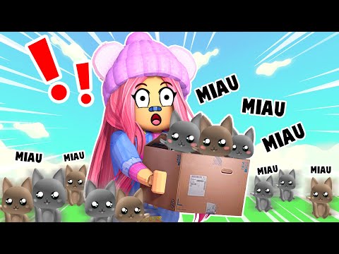 FUNANDO a la LOCA DE LOS GATOS *TODOS PERDIDOS*😭 - ROBLOX