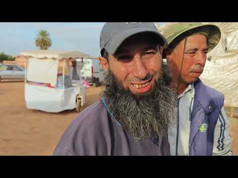 تمن الزيتون من قلب السوق قلعة السراغنة . | مع إرساليات الزيت الزيتون 🫒 من الوكالة الجودة اللهم بارك🤲