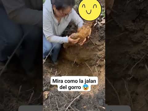 Cuidado ! Con quien te metes #misterio #paranormal #terrors #embrujo #santería