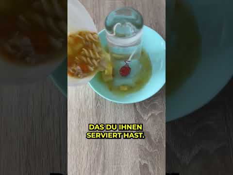 Wie Kinder immer ihren Teller aufessen😅