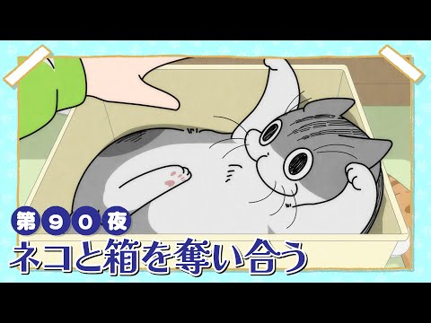 猫の動画サムネイル - アニメ『夜は猫といっしょ』第90夜「ネコと箱を奪い合う」