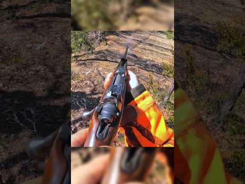 Ночная охота на кабана | Близкий выход и точный выстрел#кабанохота#выходкабана#следкабана#трофейкаба