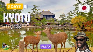 Kyoto & Nara, Japan 🇯🇵 | Vlog | Exploring the Golden Temple, Wild Deer, Shrines & Hidden Gems
