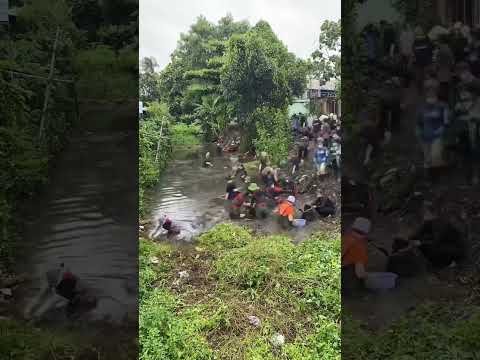 Incredible river cleaning #saigonxanh #satisfying #cleaning #cleaningmotivation #pollution