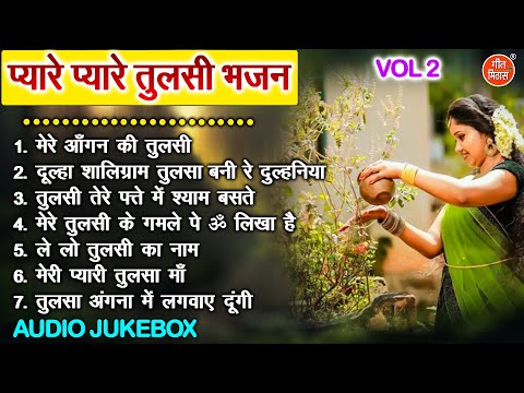 प्यारे प्यारे तुलसी भजन Vol 2 | Kartik Maas Ke Bhajan | Tulsi Mata Ke Pyare Bhajan [AUDIO JUKEBOX]