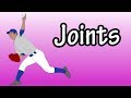 Understanding Joints
