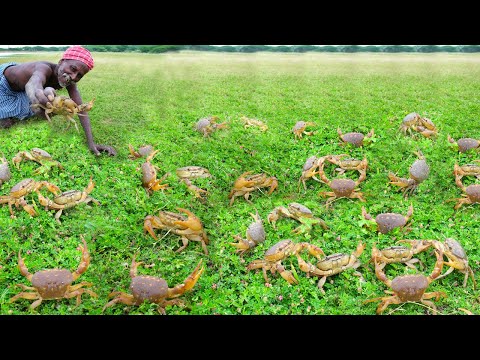 MUD CRABS HUNTING | களி நண்டு வேட்டை | Delicious and Healthy Crabs Soup