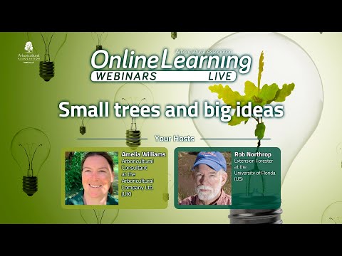 Webinar: Small Trees and big ideas (With Rob Northrop & Amelia Williams)