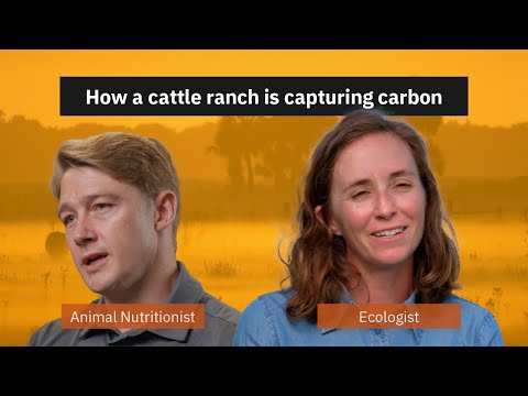 Part 6: Carbon Sequestration | Understanding the Carbon Cycle on a
Cattle Ranch