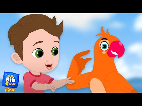 Main Tota In Orange Co, मैं तोता, Hindi Nursery Rhymes for Kids