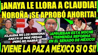 MIÉRCOLES ¡ANAYA PIDE PIEDAD A CLAUDIA! NOROÑA ¡APROBADO! PAZ EN MÉXICO ¡SI O SI A LA FUERZA!