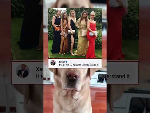 #memes #story #dog #shorts #pets