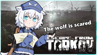 【Tarkov/PVE】のんびりkappa目指してます【VTuber】