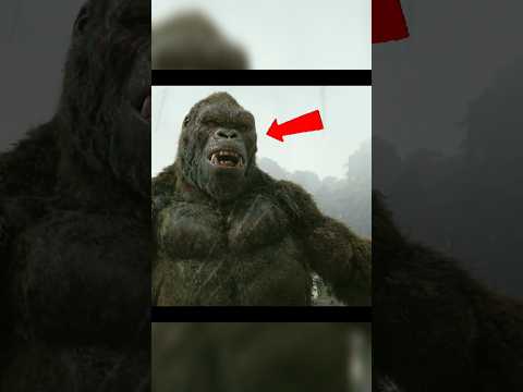 how kong species is so intelligent ๐ง ? #loveavibreakdowns