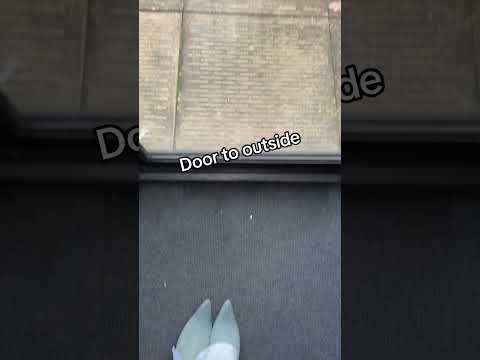 Go on then… x #thingsinmyhousethatjustmakesense #explorepage