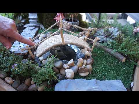 Make a Fairy Garden!