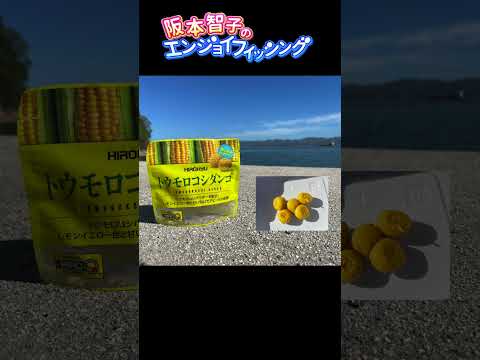 練りダンゴ限定でチヌを狙え！ダンゴ釣り【阪本智子】
