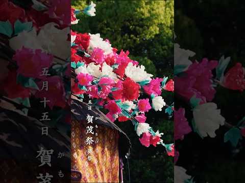 【京都 上賀茂神社】賀茂祭(葵祭) 5月5日
