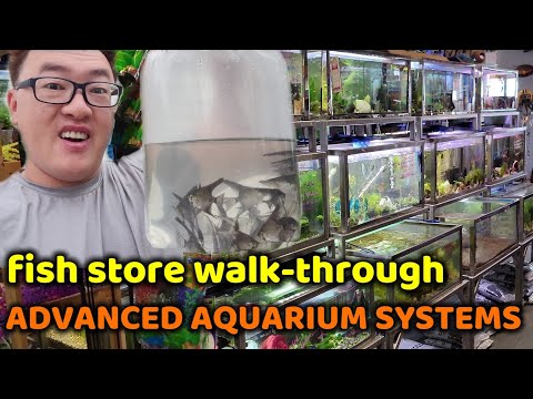 FISH STORE WALK-THROUGH: ADVANCED AQUARIUM SYSTEMS Join me guys as I go on an adventure to my not-so-local fish store to trade in my angelfishes.