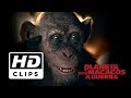 Trailer 4 do filme War for the Planet of the Apes
