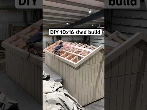 DIY 10x16 shed. Nailing up a shed is the fun part. #diyshed #diy #shed #construction #woodwork #asmr