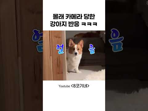 역몰카 당한 개딸 반응ㅋㅋ