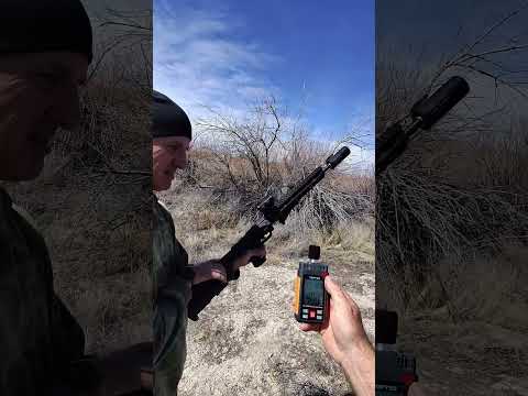 Suppressed Smith & Wesson FPC 9 mm #guntest #gunreviews