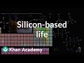 Carbon and Silicon in Life Chemistry
