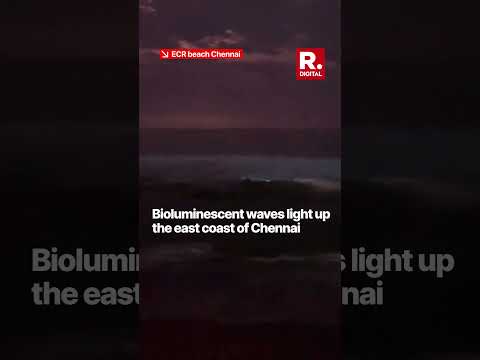 Chennai Residents Marvel At Bioluminescent Waves On East Coast Road Beach