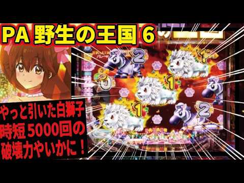 【ようやく引けた！】PA野生の王国　2026/02/21【その結果】
