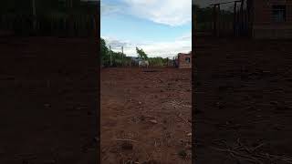 momento mais esperado #shots