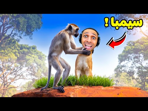 عشت حياه سيمبا الاسد ليوم كامل لعبة roblox !! 🦁🔥