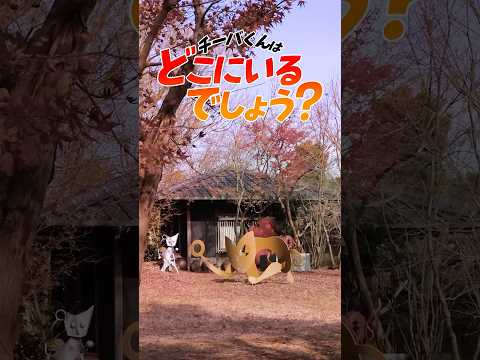 【意外と？】チーバくんを探せ！ #shorts #チーバくんは犬じゃないよ
