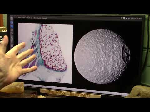 What do we Know and Not Know About the Moon from Observation
