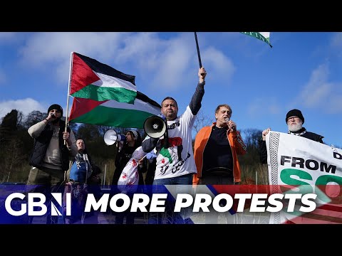 Pro-Palestinian protests in London take place AGAIN reiterating calls for a ceasfire in Gaza