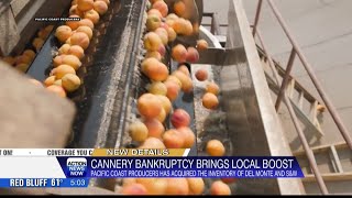 Pacific Coast Producers acquires Del Monte, S&W fruit inventory