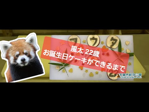 風太22歳 誕生日ケーキができるまで
