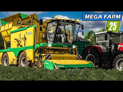 LS25 US: Noch mehr SCHULDEN & die ersten BUSCHBOHNEN | Mega Farm #5 | Farming Simulator 25