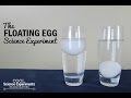Floating Egg Experiment Concepts