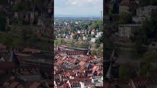 View from Heidelberg Castle 🏰 #views #heidelberg #tourist #germanshepherd