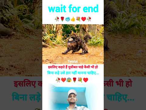 #rinkujha
