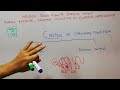 Coronary Blood Flow Mechanisms