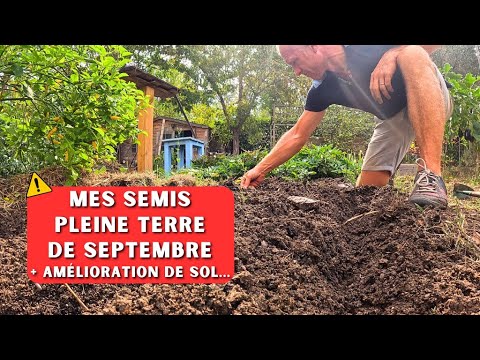 Septembre au potager - Saison 2024