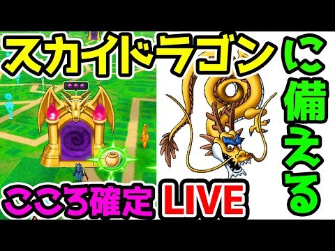 【ドラクエウォーク】スカイドラゴンに備える！こころ確定LIVE！概要欄必読！【ドラゴンクエストウォーク 試練の扉】