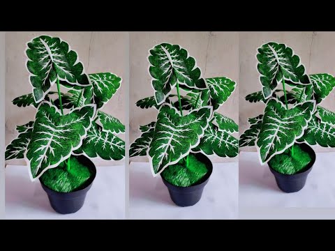 DIY  Tanaman Keladi  dari Plastik Kresek | How to make Caladium from plastic bag