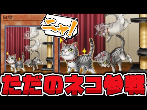【遊戯王】 これってただの猫では…？回ってるだけなのに凄い！ 『回猫』 【ゆっくり解説】