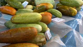 Vanuatu Diaries - Where Culture Meets Color – A Stroll Through Vanuatu’s Markets