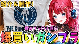 【ガンプラ女子】実写🌸爆買いガンプラ＆プラモ紹介プチ編🎉今日作るのはあのプラモ！今回は渋い機体はあるかな？【女性実況/ガンプラ/プラモ/ガン