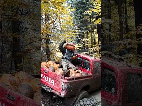 Fall memories, loading… Drop ❤️ if you like it #offroad #toyota #monstertoyo